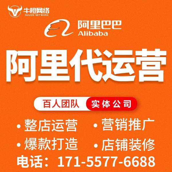 天津电商代运营