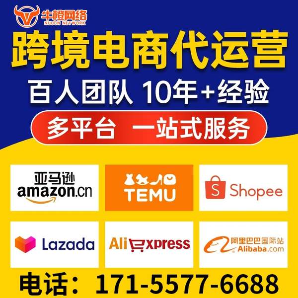 天津电商代运营