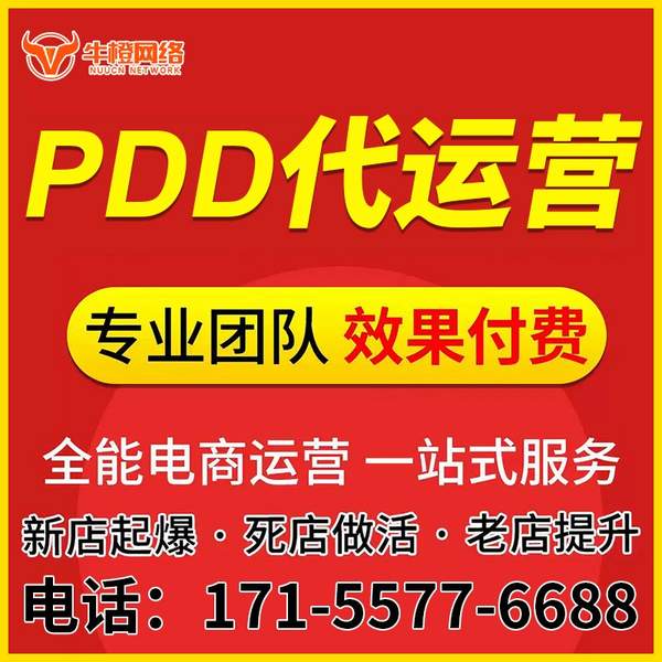 天津电商代运营