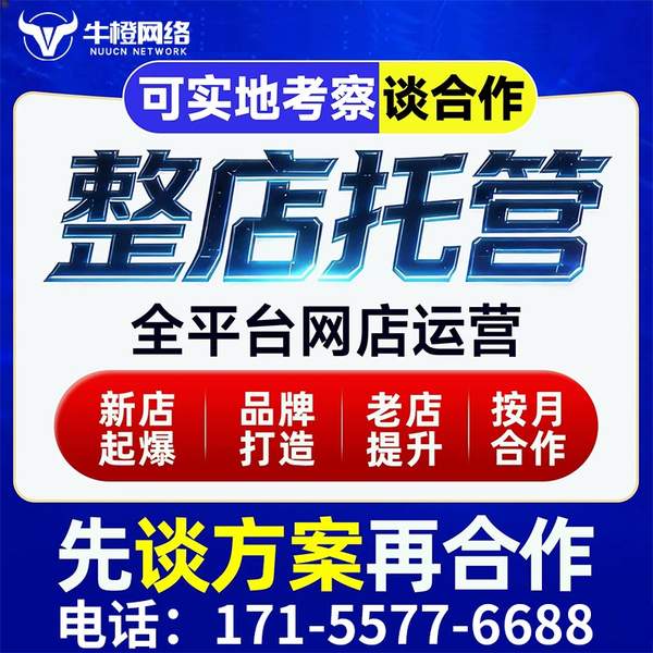 天津电商代运营