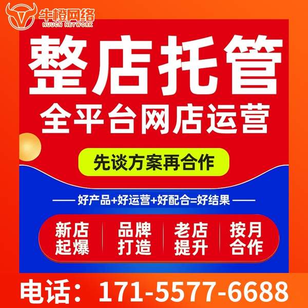 天津电商代运营