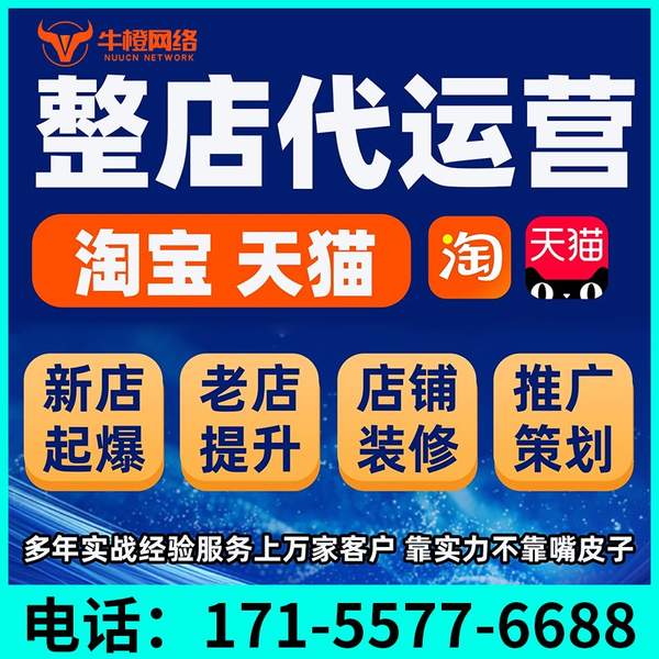 天津电商代运营