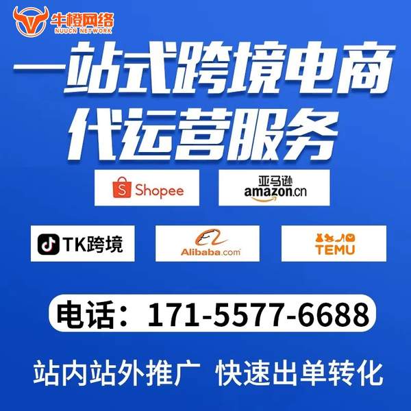 天津电商代运营