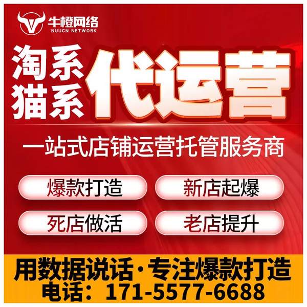 天津电商代运营